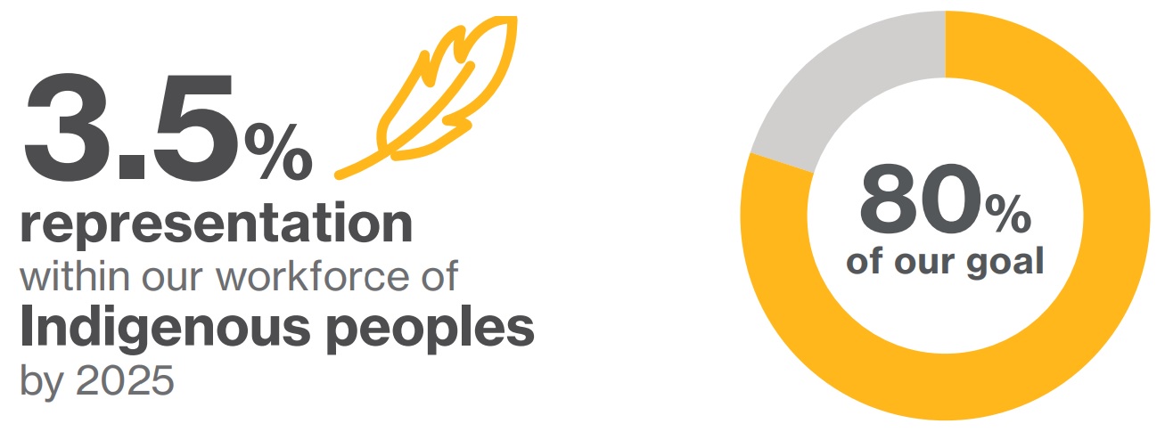 Infographic and pie chart