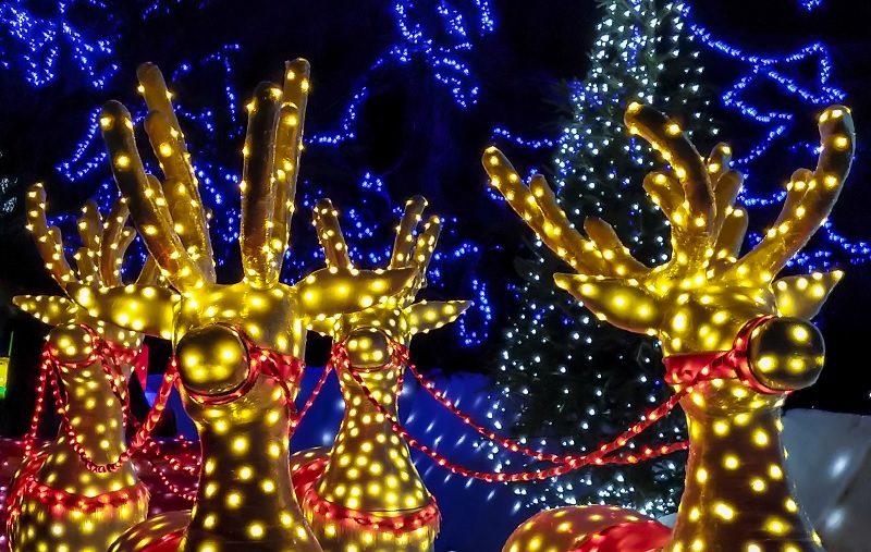 Christmas lights