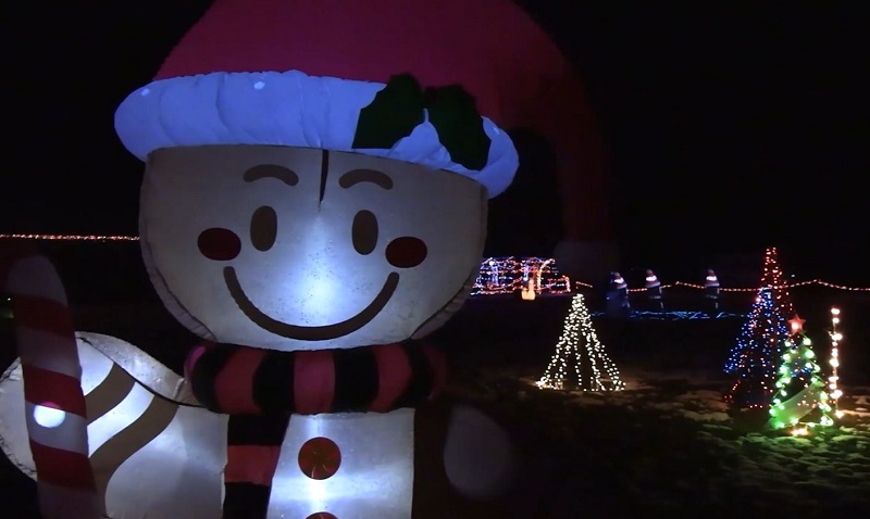 Christmas lights at night