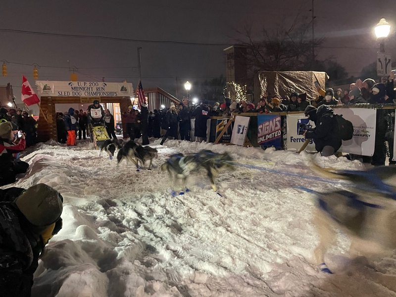 Dog sled race