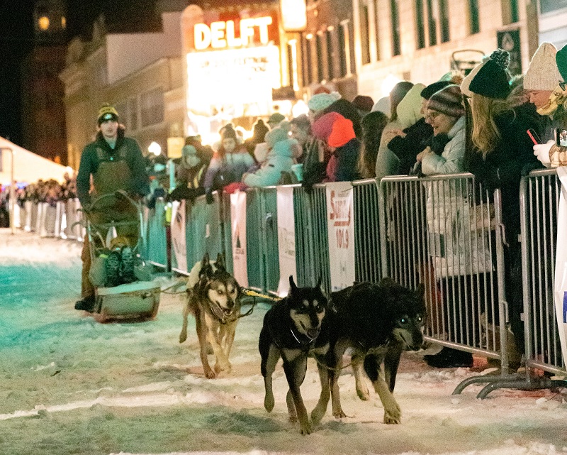 Dog sled race