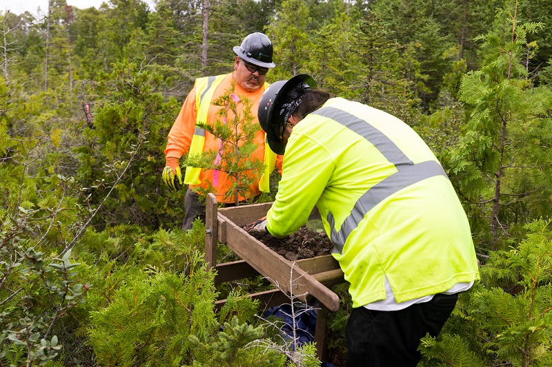 two workers perform cultural survey