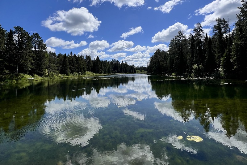 A lake nestled in a beautiful forest 