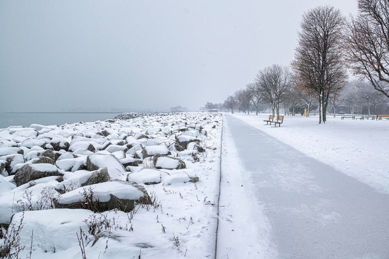 Lakeshore in winter