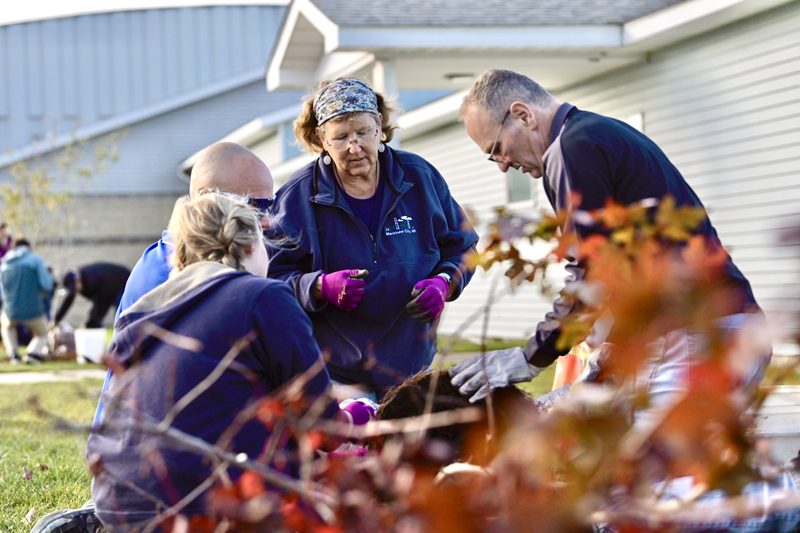 People planting a tree