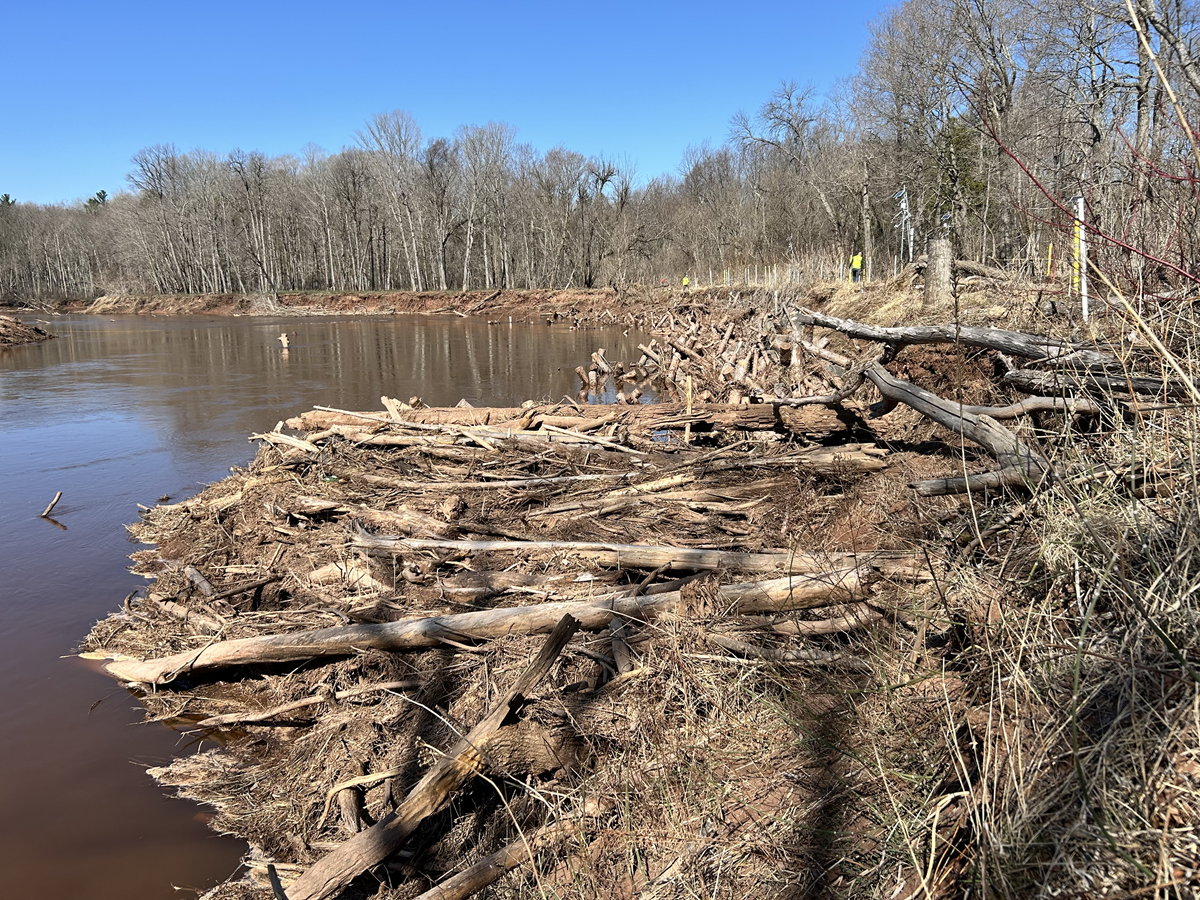 Logs being inspected on a riverbank