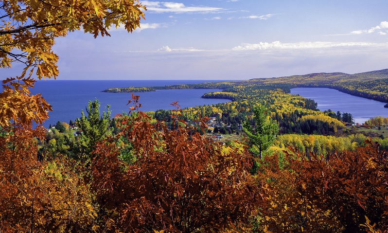 Trees with fall foliage