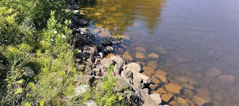 Rocks at the edge of a river
