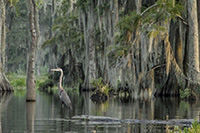 Louisiana