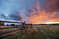 Farm fence at twilight