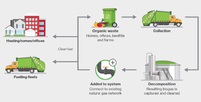Renewable natural gas infographic