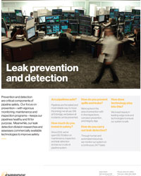 Leak Prevention And Detection