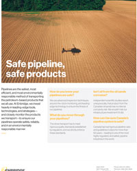 Safe Pipelines Safe Products