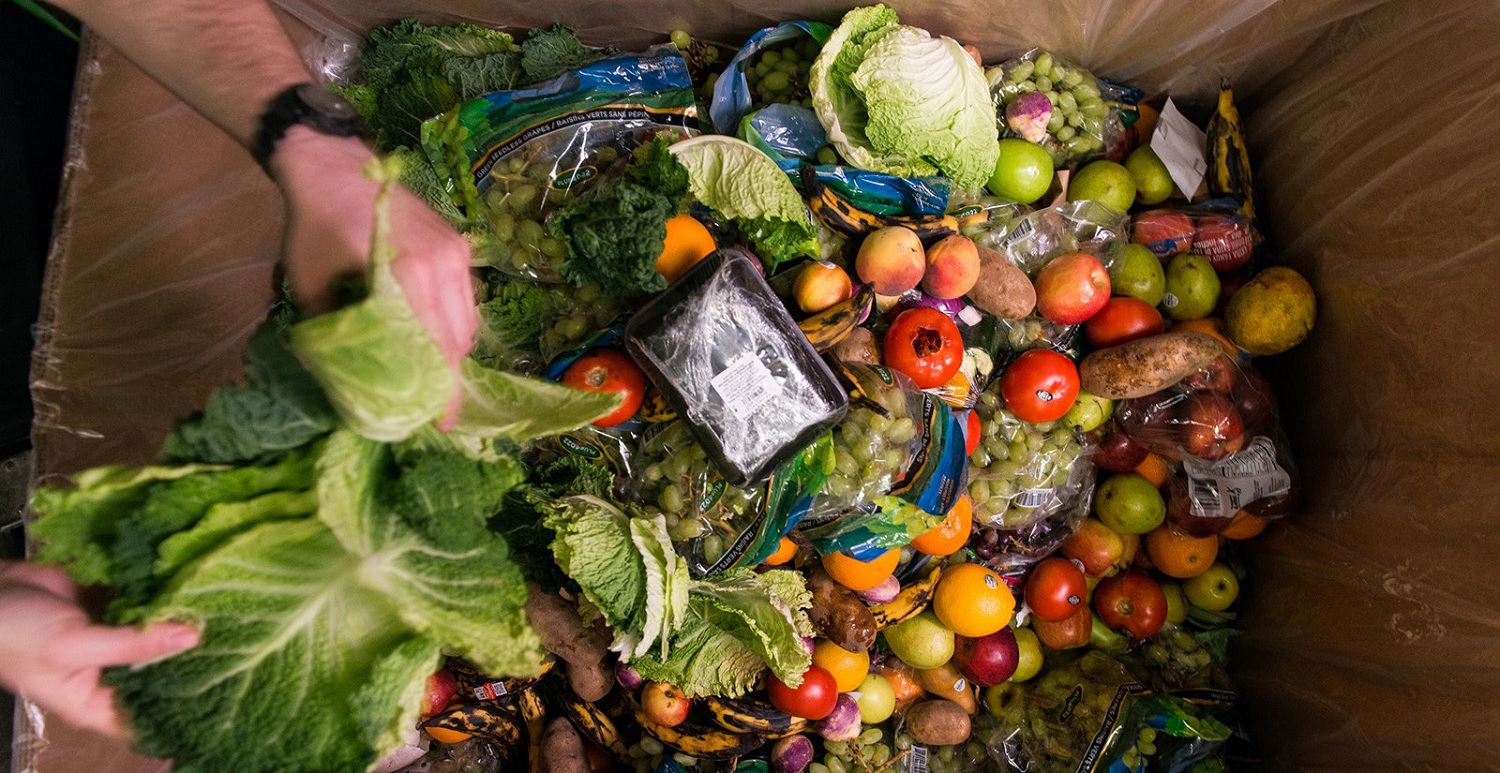 Vegetables being thrown into a composting bin
