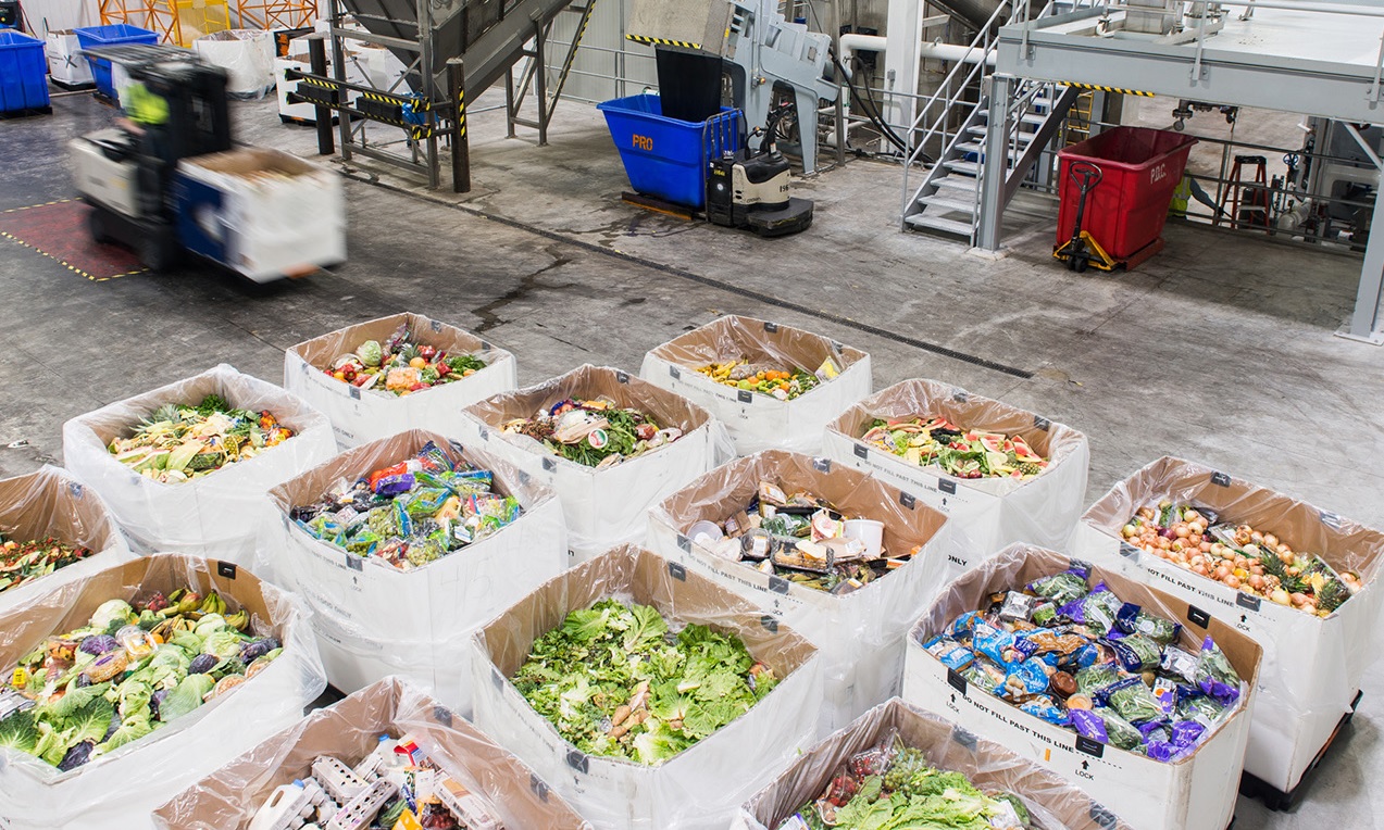 Wasted food separated into bins