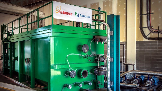 ELDER tool for website