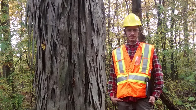 Return the Landscape Sarnia