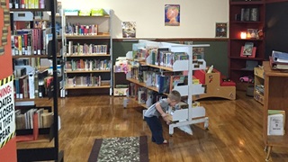 Waskatenau library for blog