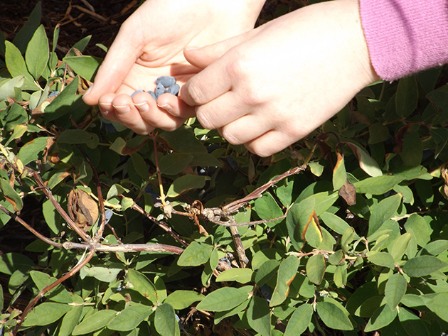 Cold Lake Public Library 