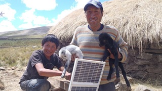 e4e Peru father son goats