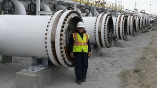 Stephanie Guerrero IWD