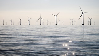 Rampion offshore for blog