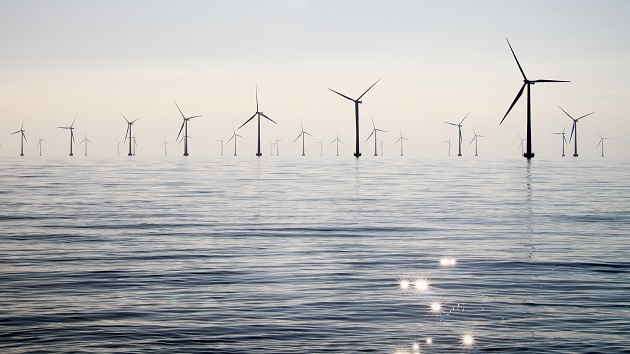 Rampion offshore for blog