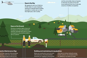 Safety Report-2 for web and blog