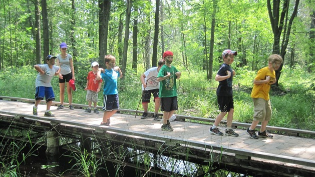 Heartland Forest for blog