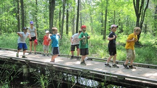 Heartland Forest for blog