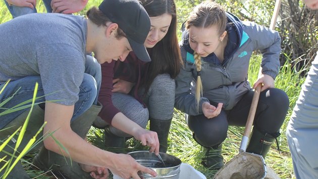 X-Stream Science BRWA