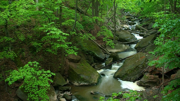 Cootes to Escarpment Hamilton
