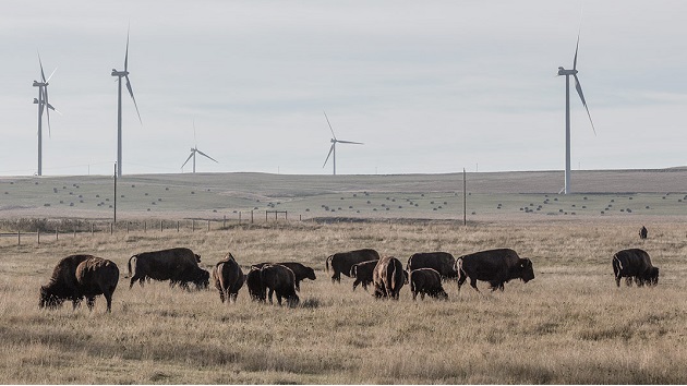 Alta wind farm for GLOBE climate chg