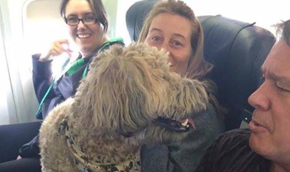 Canadian North airplane flight