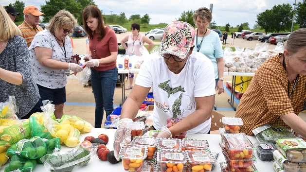 Food bank volunteer sorting food