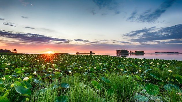 River scene at sunrise