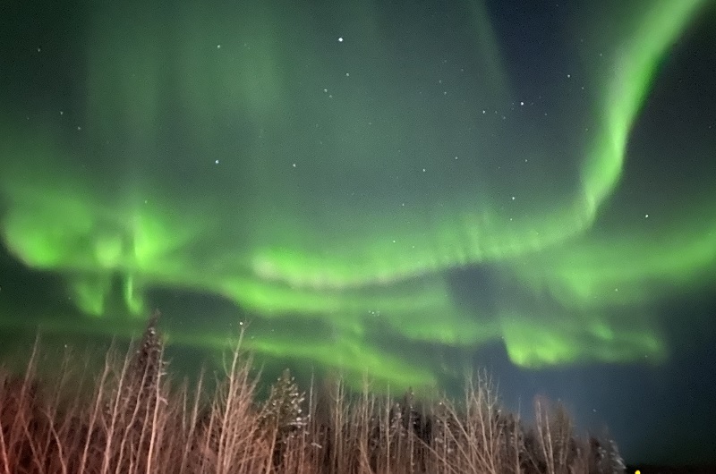 Northern Lights in winter