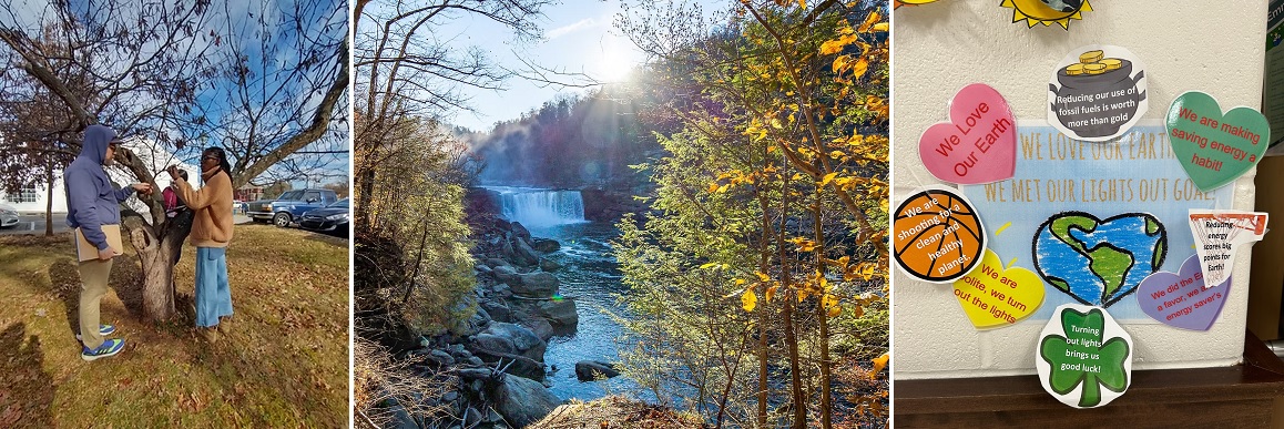 Kids examining trees and a waterfall scene