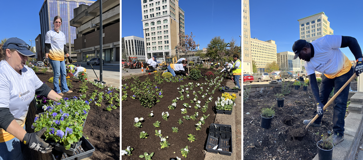 People planting flowers and trees