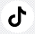 TikTok logo